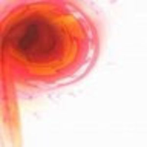 Meet your Posher, Noel